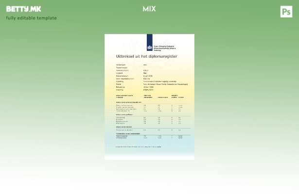 модерен стил Холандија MboRijnland Диплома Регистрирај се Екстракт шаблон во Wor